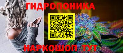 не бодяженный Гатчина