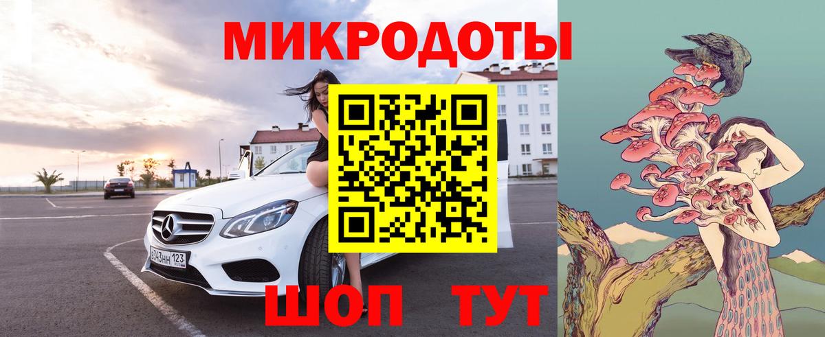 Псилоцибиновые грибы мицелий Губкинский