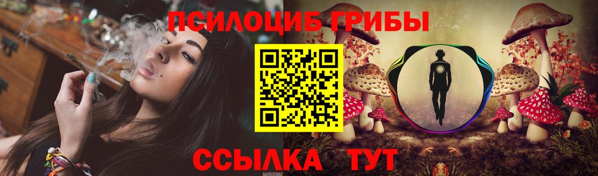 Губкинский  Галлюциногенные грибы MAGIC MUSHROOMS  Вход с VPN 