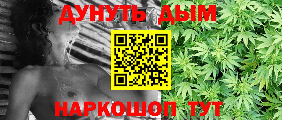 Канабис семена  Бошки марихуана конопля  Вход с VPN  Губкинский  Канабис планчик 